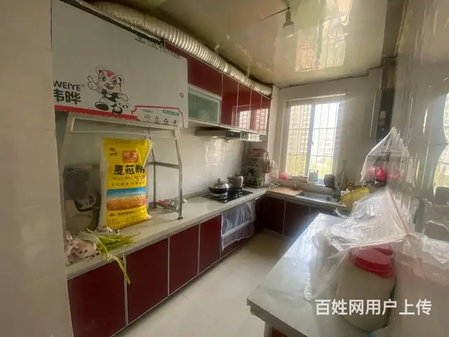 南昌路 洛浦公园  明珠花园  精装三居  电梯双气 - 图片 9