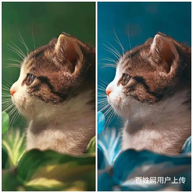 赤峰平面设计PS软件短期速成培训班 - 图片