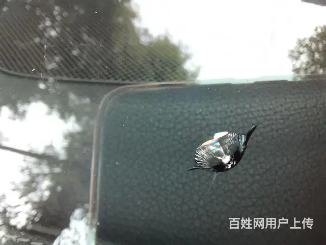 成都青羊周边挡风玻璃可以修补 专业技术 - 图片 2