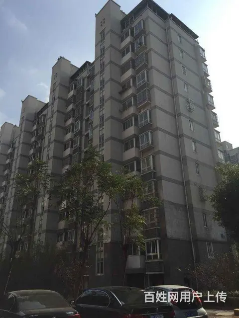 青枫公园宝龙广场 梧桐苑 精装修2房价格包物业拎包 - 图片 8