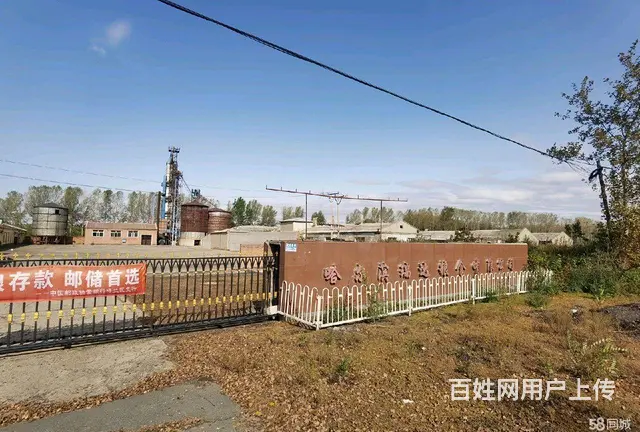 呼兰城区长岭镇厂房出售 - 图片 3