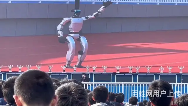 云南昆明机器人，机器狗租赁，出租，表演 - 图片 3