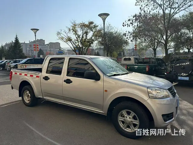 其他 皮卡 - 图片 3