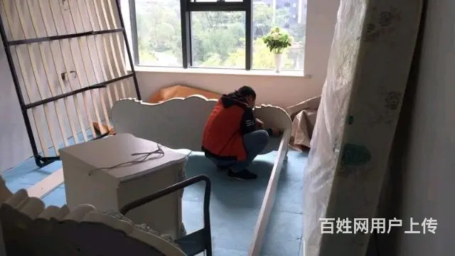 杭州九鼎搬家公司 - 图片 3