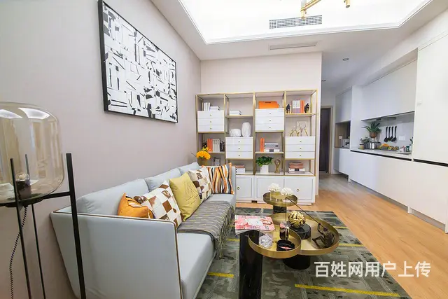 想开工作室的来惊爆价市中心一手房单价6999起现房现房 - 图片 6