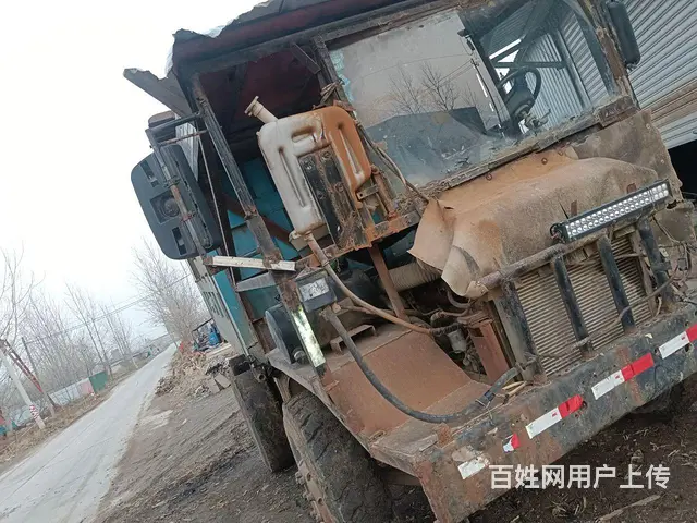 四不像， - 图片 4