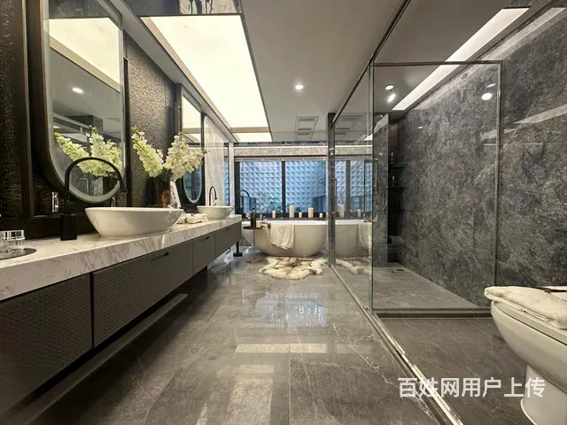 锦江区（攀城钢）城市级叠拼别墅 精装 拎包入住 - 图片 4