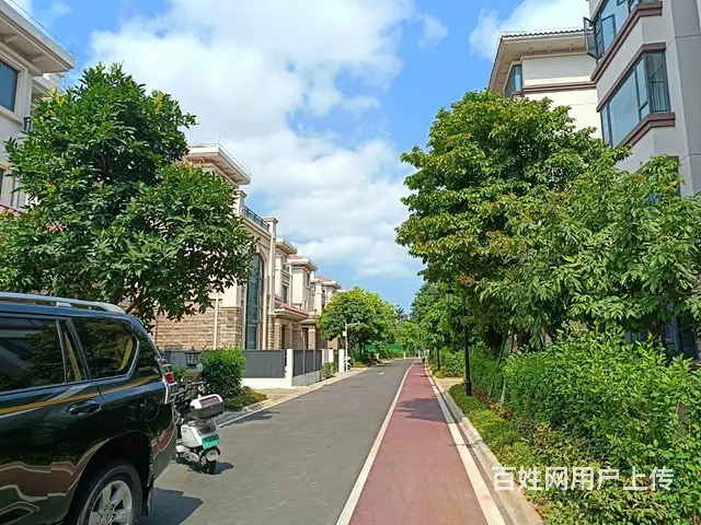 （51旺铺推荐）新埠岛碧桂园半岛南湾和风丽湾400平4层别墅 - 图片 11