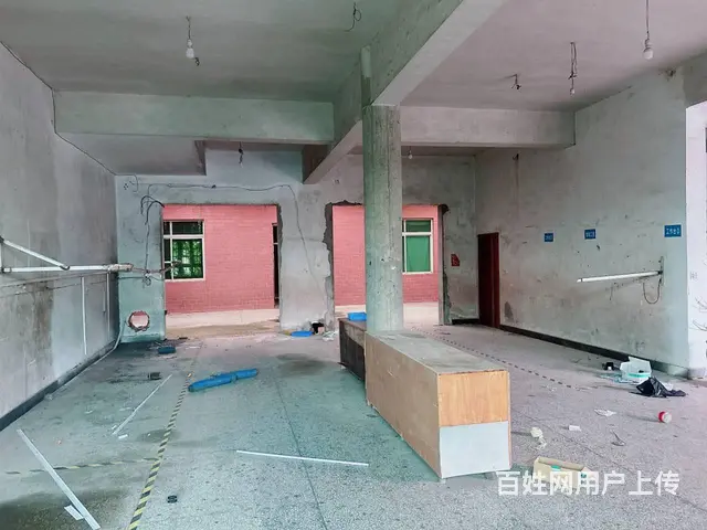 （老板本人）（好消息）岳麓区含浦独栋房屋特价招租6803 - 图片 4