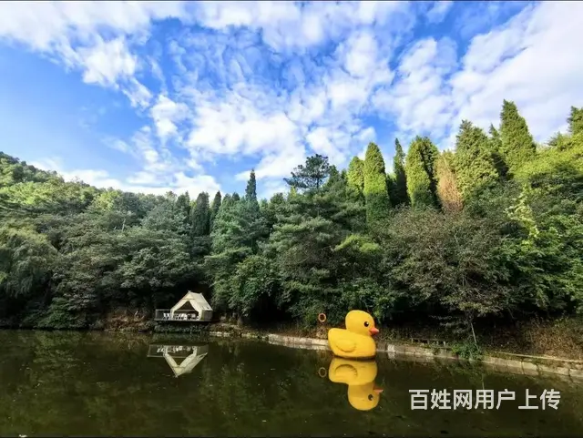 15703（商客网）西山区团结乡发禄村山庄出租或转让 - 图片 5