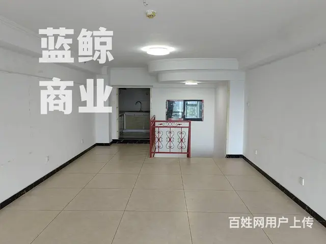 新城绿地蓝海100平复式 - 图片 6