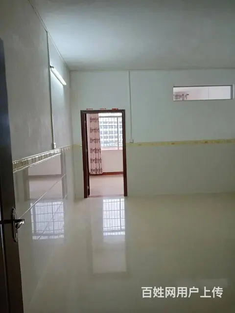 新松一区全新一房一厅出租 - 图片 1