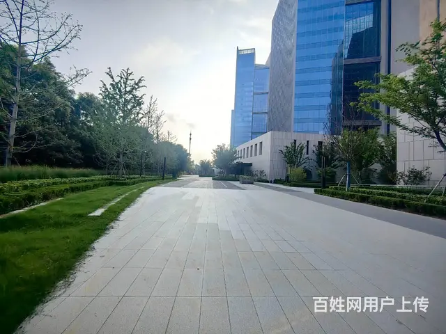 大龙湖旁600平整层商住楼欢迎看房 - 图片 8