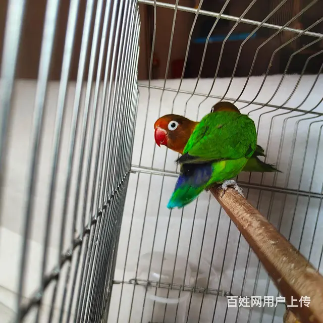 点进下拉看详情 - 图片 3