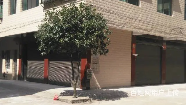 农资市场整幢房屋出售 - 图片 4