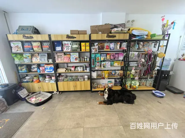 宠物用品店出兑  能寄养 - 图片 5