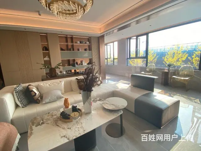 城南 改善型高端品质 不看标价渠道 金鹏壹品 近吾悦广场 - 图片 8