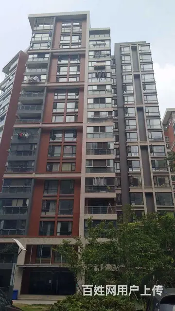正岳家嘴地铁口 近正堂时代 金禾中心 山河大厦 东 - 图片 11
