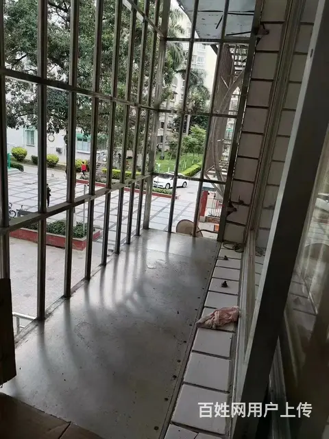 地铁房泰和花园独立单身公寓1100包物业.宽带包水费 - 图片 5