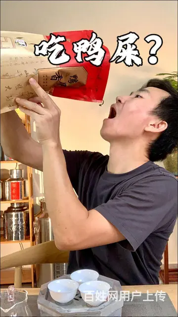 至诚茶业凤凰单丛鸭屎香2023年新茶雪片茶500g - 图片 1