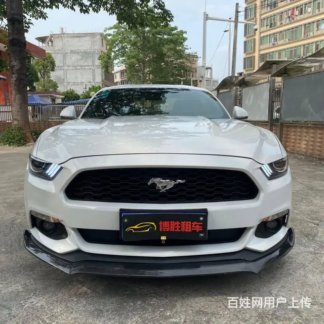 揭阳租车公司，旅游景点租车，商务租车，公务用车 - 图片 3