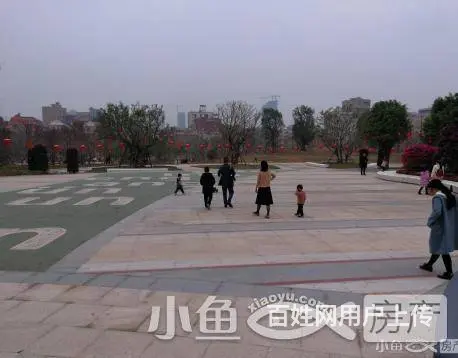 同安BRT枢纽站、同安乐海城市广场旁  单身公寓 - 图片 5