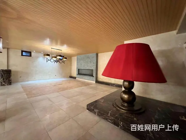 捡漏超底汇锦庄园别墅900米双拼 300米花园 双台车库 - 图片 9
