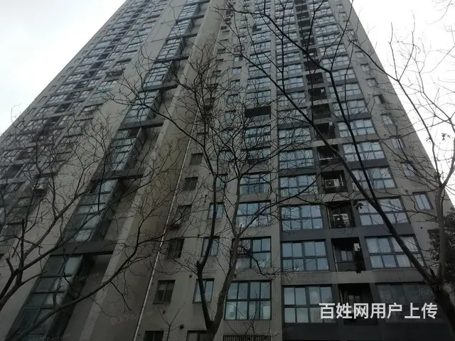 博小北郊金新鼎邦旁青山湾花苑 低层双阳台 通透精装 - 图片 11
