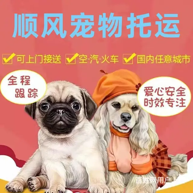 遵义湄潭宠物托运（猫狗）活体运输邮寄 （2023今日 推荐） - 图片 1