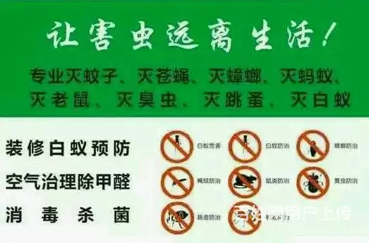 专业防治各种害虫灭鼠灭螂灭蝇灭蚊，一次付费一年无忧 - 图片 1