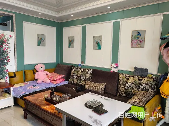 金堂县城 华夏上海城 三面采光 河景房 - 图片 10