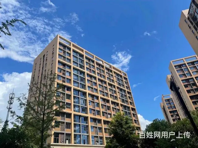 禧福汇电商创意产业园，采光通透，交通便利，拎包入住，房东直租 - 图片 12