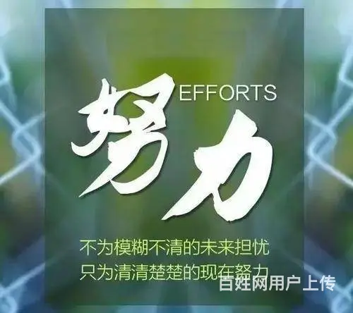 徐州有针对财经高等职业技术学校五年制专转本辅导班吗 - 图片