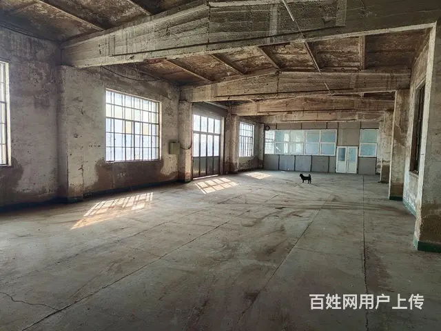 虎石台厂房出租650平和750平 - 图片 2