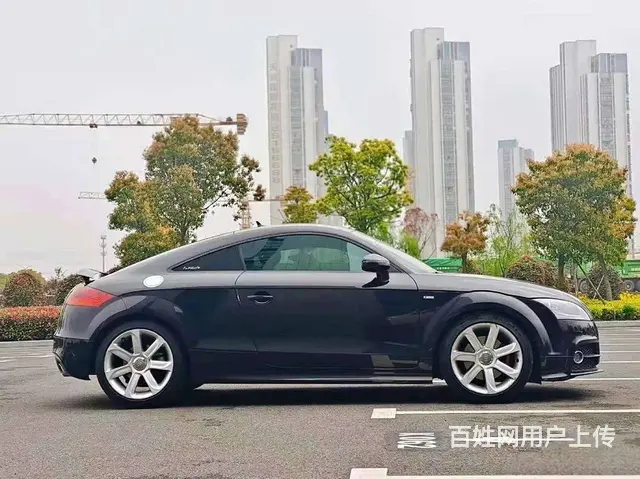 奥迪TT(进口) 2013款 TT Coupe 2.0T 双 - 图片 2