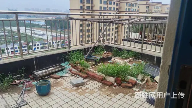急售急售可议价 - 图片 2