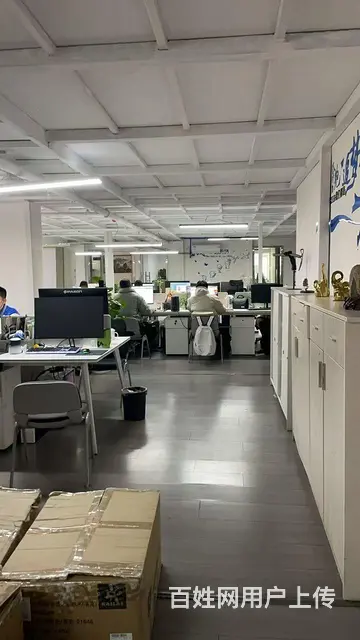 出售出租 - 图片 1