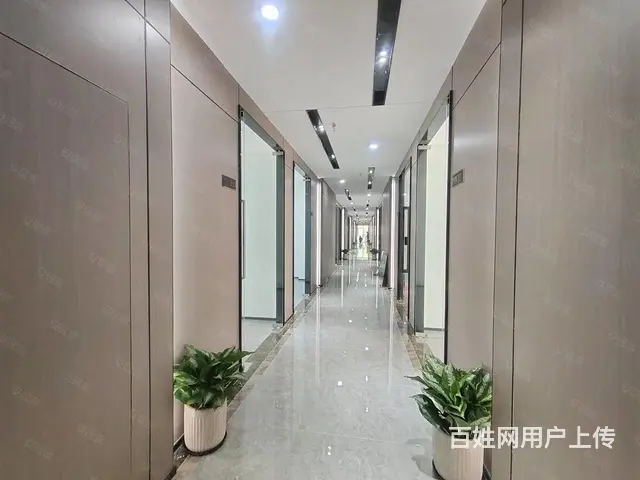 观音山会展前埔 软件园二期 地铁口 全新精装 多套50元急租 - 图片 4