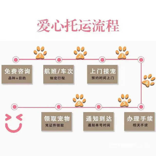 徐州丰县托运宠物 （猫狗活体运输）快递至全国各地 - 图片 3
