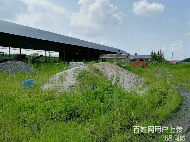 阿城蜚克图镇厂房出售 - 图片 2
