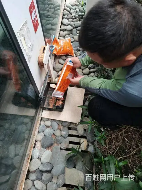 武汉江夏蔡甸新州灭臭虫灭蟑螂 除四害服务电话 价格 - 图片 6