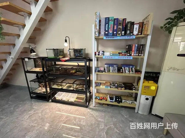 （兴铺）市中心主题电玩桌游店因老板怀孕整体转让 - 图片 4