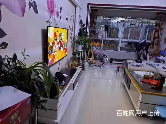 水畔华城 普通住宅 中等装修 - 图片 1