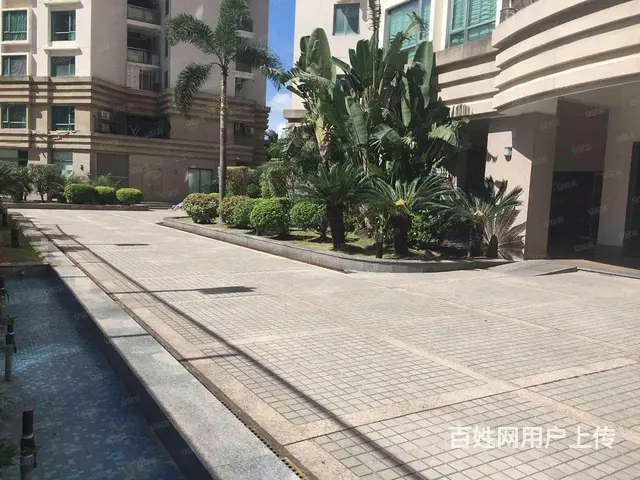 思北 慧景城 一房独卫  采光好 海湾公园旁 多套出租 - 图片 6