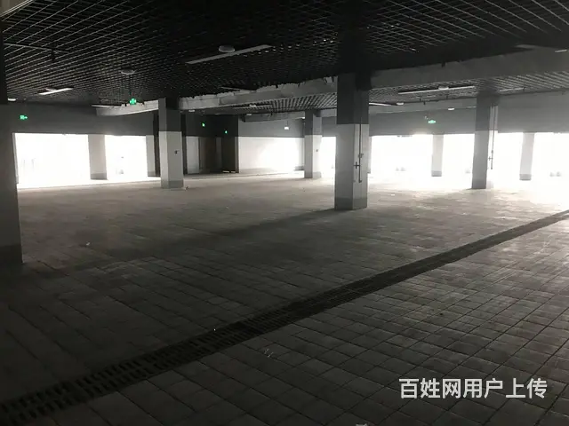 出租龙泉驿大面商业街店铺 - 图片 9