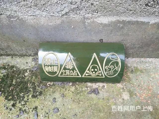 双峰县专业灭老鼠灭蟑螂灭白蚁 - 图片 3