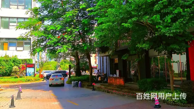 (业主直租)华发商都旁155平一楼旺铺，车位充足 - 图片 11