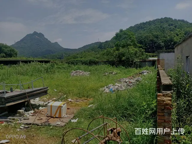 1000平场地出租或合作 - 图片 3