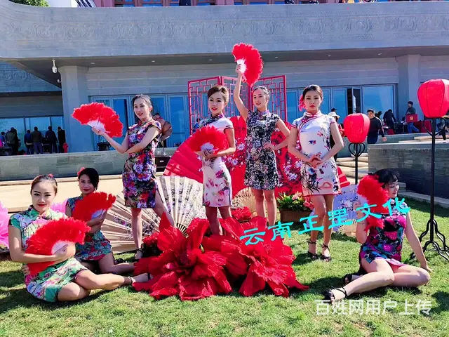 主持人、舞蹈、舞龙舞狮、杂技、小丑、魔术、礼仪模特 - 图片 12