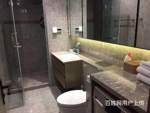 财富中心精装1房世茂天玑绿城兰园双牛大厦杭州大厦武林门带车位 - 图片 6